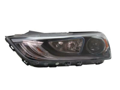 Hyundai 92101-G2050-MBL Headlamp Assembly, Left