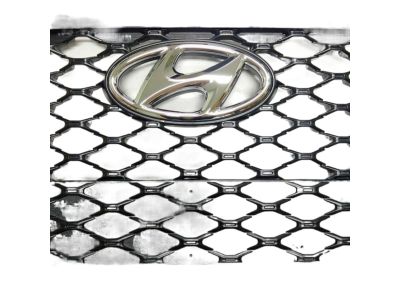 Hyundai 86350-J9000 Radiator Grille Assembly