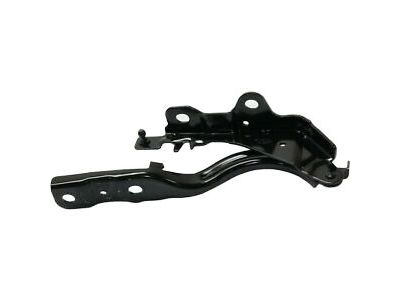 Hyundai Sonata Hood Hinge - 79110-C2000