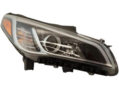 Hyundai 92102-C2000 Lamp Halogen Headlight Replacement
