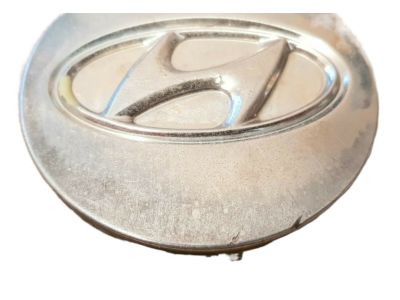 Hyundai 52960-25060 Wheel Hub Cap Assembly