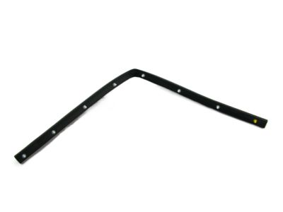 Hyundai Azera Weather Strip - 86436-3V000