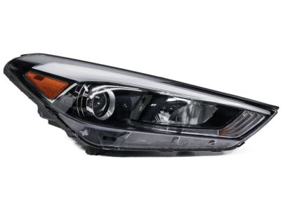 Hyundai 92102-D3150 Headlamp Assembly, Right