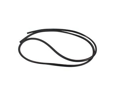 2010 Hyundai Veracruz Weather Strip - 81613-3J001