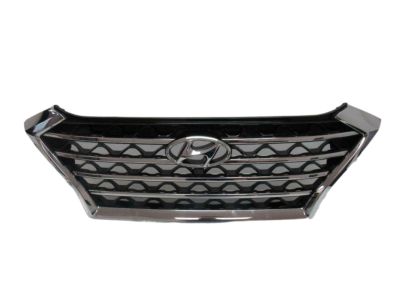 Hyundai 86350-D3660 Radiator Grille Assembly
