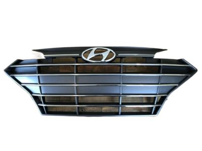 Hyundai 86350-F3510 Radiator Grille Assembly