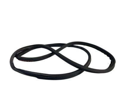 Hyundai Santa Fe Door Seal - 82110-2W000-RYN