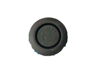 1999 Hyundai Accent Body Mount Hole Plug - 17313-20000