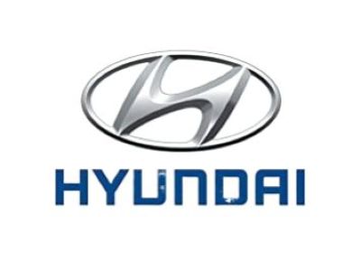 2006 Hyundai Accent Grille - 86560-25010-CA