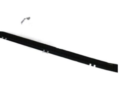 Hyundai 83220-F2010 Weatherstrip Assembly-Rear Door Belt Outside RH