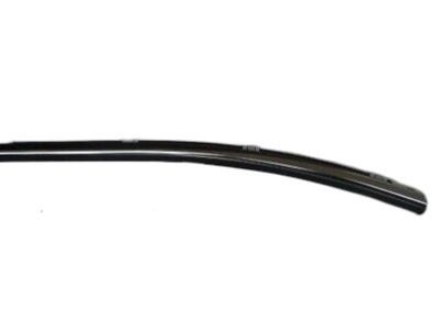 Hyundai 83220-F2010 Weatherstrip Assembly-Rear Door Belt Outside RH