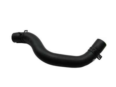 2002 Hyundai Sonata Radiator Hose - 25414-38130