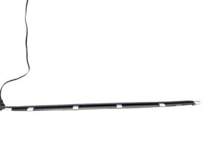 Hyundai Elantra Door Seal - 83210-F2000