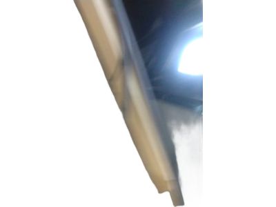 Hyundai 81620-L1000