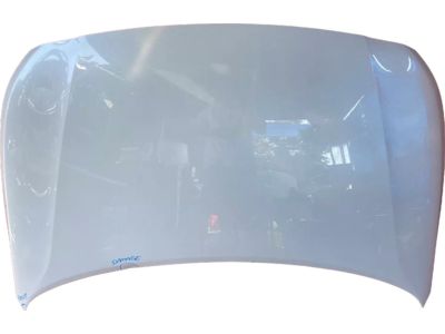 Hyundai Accent Hood - 66400-J0000