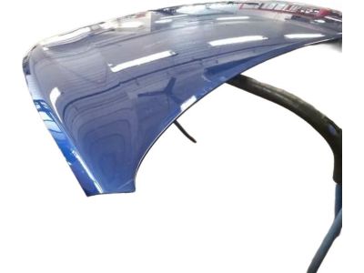 Hyundai Accent Hood - 66400-J0000