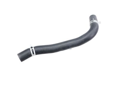 Hyundai 25415-3L200 Hose Assembly-Radaator,Lower