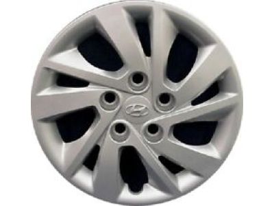 2016 Hyundai Elantra Wheel Cover - 52960-F2000