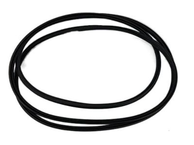 Hyundai 81613-3K000 Weatherstrip-Sunroof Glass