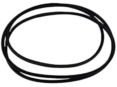 Hyundai Equus Weather Strip - 81613-3K000