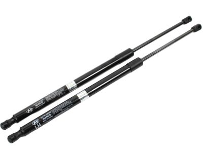 Hyundai Santa Fe Sport Lift Support - 81771-4Z500