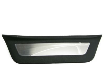 Hyundai 85888-C2500-TRY Trim-Rear Step Plate RH