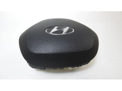Hyundai Sonata Hybrid Air Bag - 80100-C2000-TRY