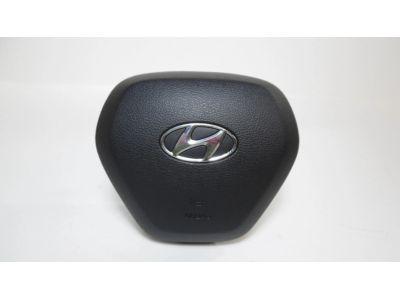 Hyundai Sonata Hybrid Air Bag - 80100-C2000-TRY