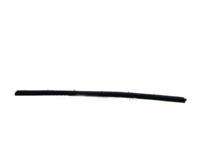 Hyundai 82231-25000 Weatherstrip-Front Door Belt Inside LH