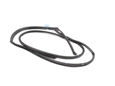 2024 Hyundai Tucson Door Seal - 83140-CW000