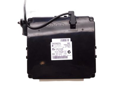 95480-3X124 Hyundai Smart Key Module Assembly Product Photo 1 of 2