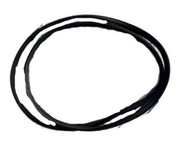 Hyundai 81613-2H000 Weatherstrip-Sunroof Glass