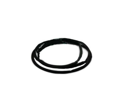 Hyundai 81613-2H000 Weatherstrip-Sunroof Glass