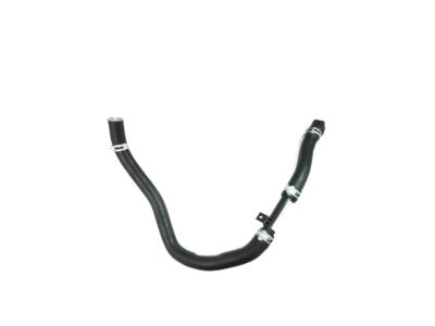 Hyundai 25415-C2100 Hose Assembly-Radaator,Lower