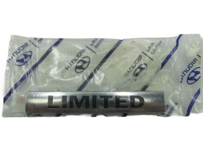 Hyundai 86313-3J030