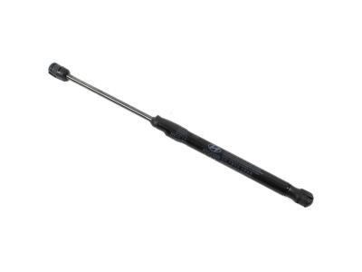 Hyundai Lift Support - 81161-C1001