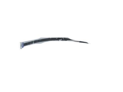 Hyundai 86372-1R000 Tape-Front Door Black Frame Upper,RH