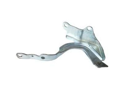 Hyundai Elantra Hood Hinge - 79110-F2000