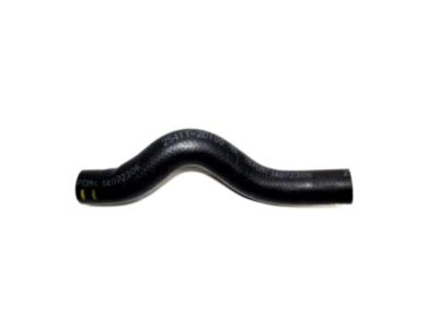 2001 Hyundai Elantra Radiator Hose - 25411-2D100