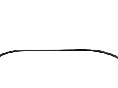 Hyundai 82130-C1000 Weatherstrip Assembly-Front Door Side LH