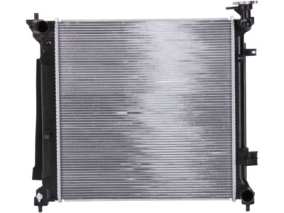 Hyundai 25310-C2200 Radiator Assembly