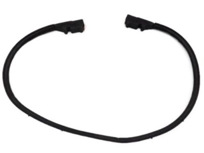 Hyundai XG350 Weather Strip - 86430-39000