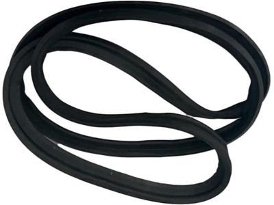 Hyundai Weather Strip - 87321-3X000