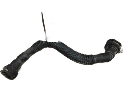 2024 Hyundai Genesis GV60 Radiator Hose - 254L4-GI000