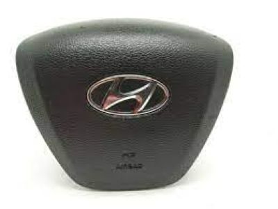 Hyundai Air Bag - 56900-C2000-TRY