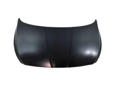 Hyundai Hood - 66400-1R110