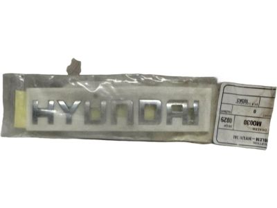 Hyundai 86310-1E000