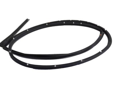 Hyundai Elantra Door Seal - 83140-3Y000