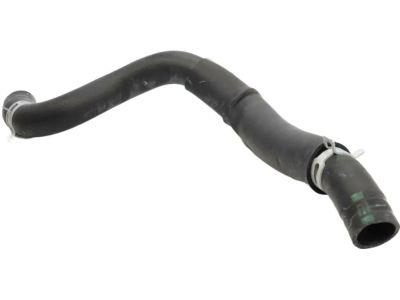 2019 Hyundai Santa Fe Radiator Hose - 25415-S1500
