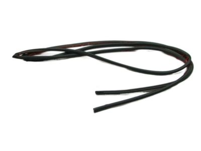 2018 Hyundai Genesis G80 Weather Strip - 81619-B1000